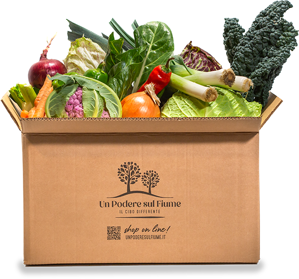 EcoBox di frutta & verdura da 25€
