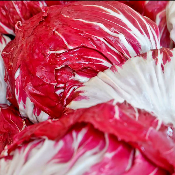 Radicchio rosso