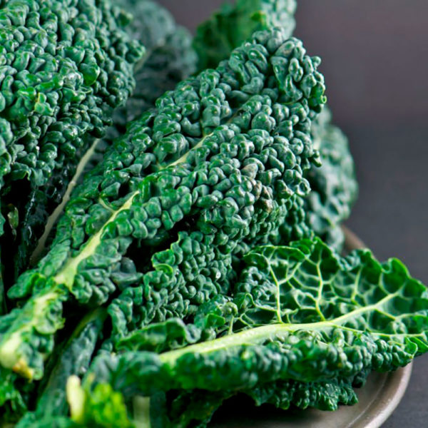Cavolo nero