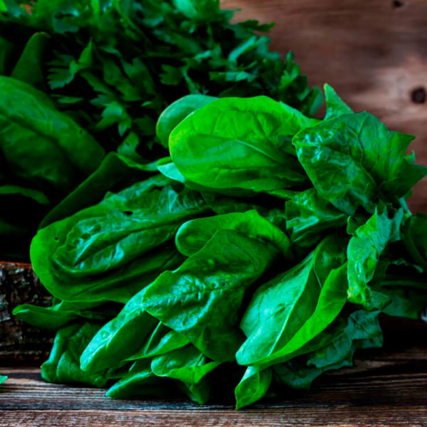 Spinaci