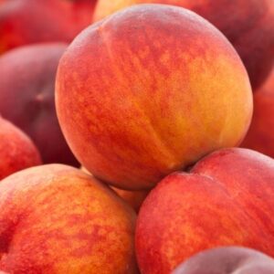 Pesche