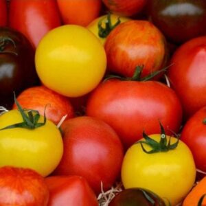 Pomodoro