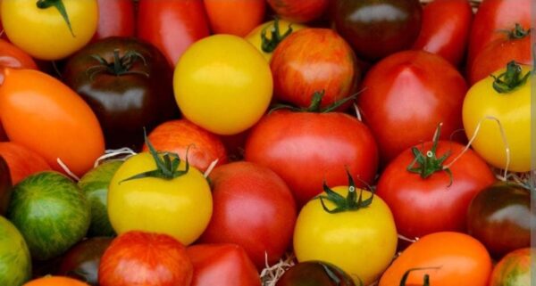 Pomodoro