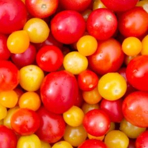 Ciliegino / Datterino