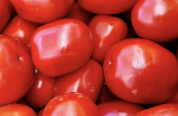 Pomodoro da passata